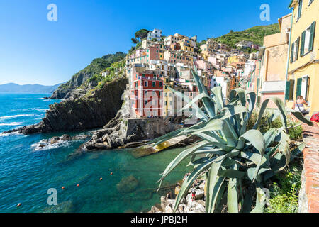 Colorful houses and typical architecture of  Riomaggiore Cinque Terre National Park province of La Spezia Liguria Italy Europe Stock Photo