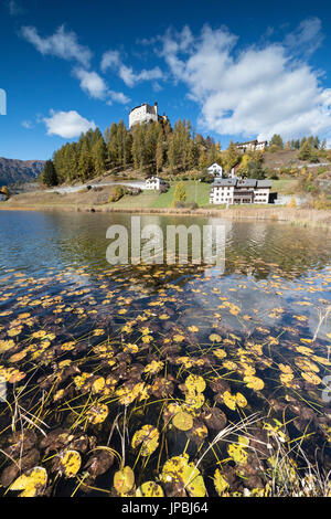 Autumnal leaves fallen in Lake Tarasp frame the old castle Inn district Canton of Graubünden Engadine Switzerland Europe Stock Photo