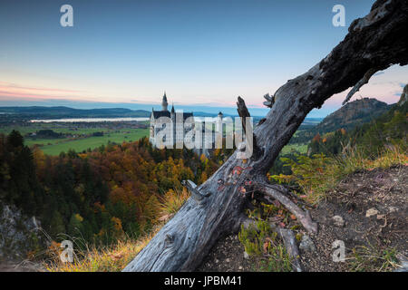 Dusk lights on Neuschwanstein Castle surrounded by colorful woods in autumn Füssen Bavaria Germany Europe Stock Photo