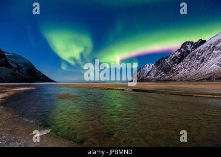 Pink and green northern lights in the night sky over Ersfjord Beach. Ersfjord, Ersfjorden, Senja, Norway, Europe. Stock Photo
