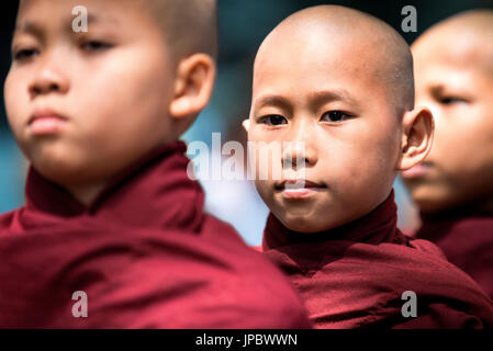 Mahagandayon Monastery, Amarapura, Myanmar, South East Asia. Detail of young monk in a row for the ritual of lunch. Stock Photo