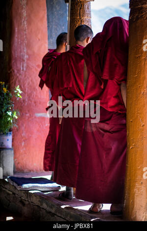 Thiksey Monastery, Indus Valley, Ladakh, India, Asia. Monks in the terrace. Stock Photo