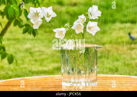 White bells in a vase on a table in the garden under a summer rain. Stock Photo