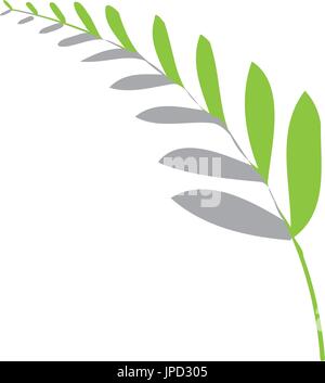 abstract fern leaf icon, isolated on white background. Stock Vector