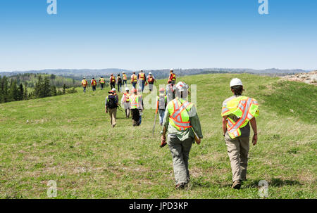 Group of workers in hardhats walking and inspecting grass field Stock Photo