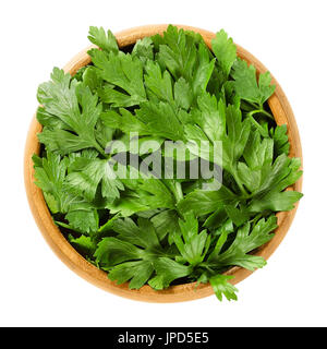 Fresh flat leaf parsley in wooden bowl. Green leaves of Petroselinum crispum, used as herb, spice and vegetable. Isolated macro food photo close up. Stock Photo