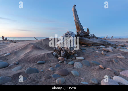 Driftwood and Lake Superior stones litter Whitefish Point beach in the Upper Peninsula of Michigan at sunset Stock Photo