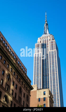 The Empire State Building seen from 5th Avenue on a clear blue sky day Stock Photo