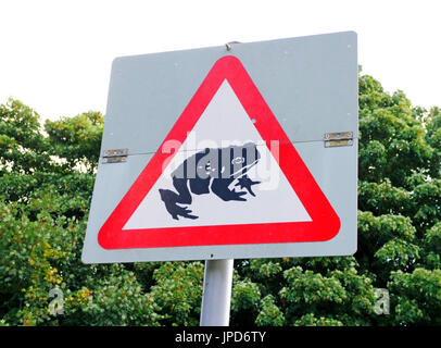 A warning road sign to motorists for toads/frogs crossing the highway. Stock Photo