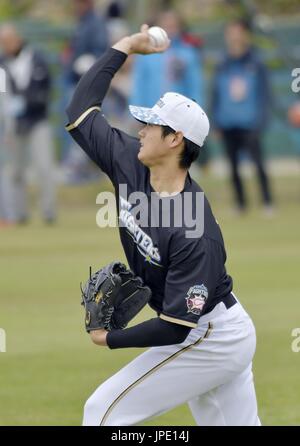 SAMURAI JAPAN Interview Vol.10 Shohei Otani of Hokkaido Nippon-Ham Fighters｜The  Official Site of the Japan National Baseball Team