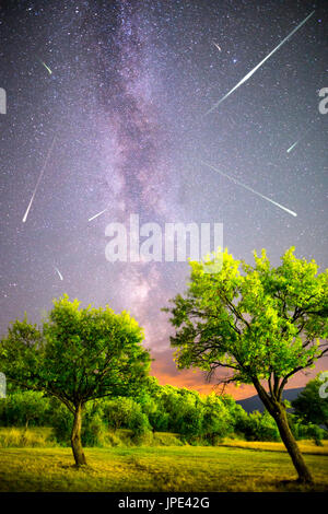 A view of a Meteor Shower and the Milky Way. Green plum trees with plums high in the mountain in the foreground. Night sky nature summer landscape. Pe Stock Photo