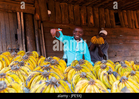 Africa,Malawi,Lilongwe district. Banana market Stock Photo