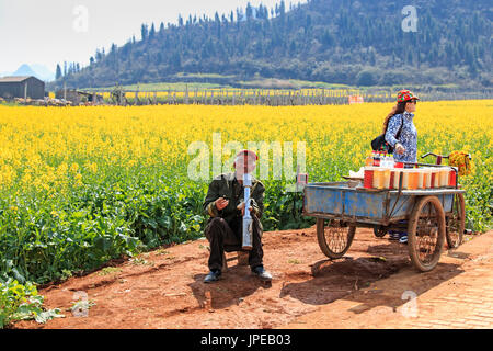 Flowers among the rapeseed fields Stock Photo - Alamy