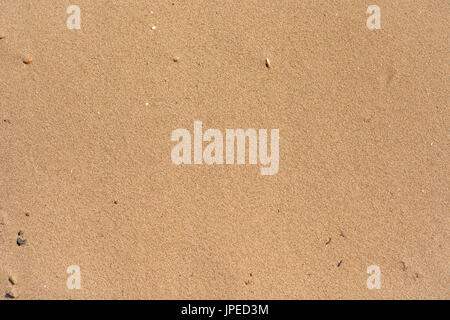 Beach sand texture as copy space, top view Stock Photo