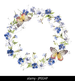 Floral frame with butterfly on white background Stock Photo