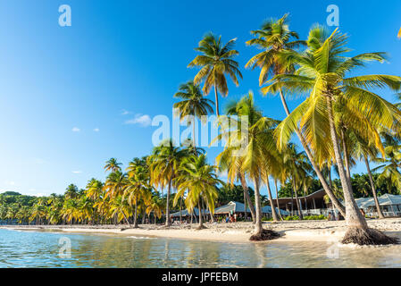 beachfront of Plage de la Caravelle in Guadeloupe Stock Photo