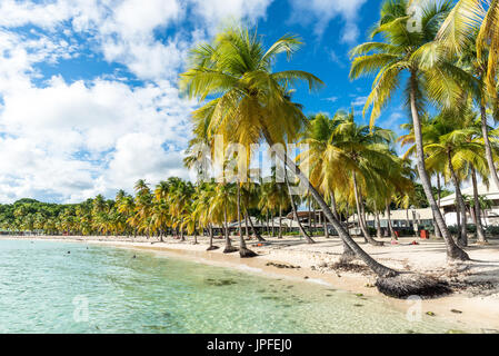 beachfront of Plage de la Caravelle in Guadeloupe Stock Photo