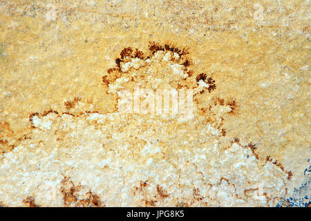 Dendrite minerals on limestone rocks of Solnhofen. full frame backgrounds Stock Photo