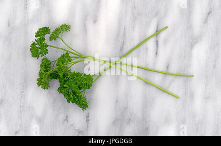 Top view of several curly parsley sprigs on a gray marble cutting board. Stock Photo