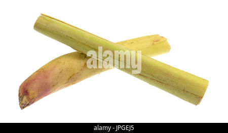 Two lemon grass stalks isolated on a white background. Stock Photo