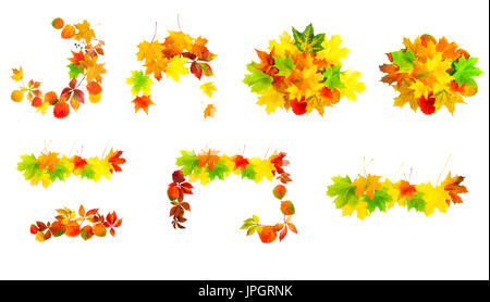 multi colored autumn leaves isolated on a white background set. collection design element Stock Photo