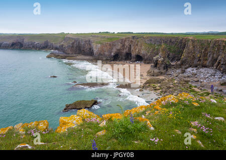 View from Mowingword, Stackpole Head, Pembrokeshire Coastline, Wales, UK Stock Photo