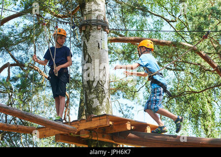 Child boy enjoys climbing in the ropes course adventure. Child engaged climbing high wire park. Active brave little boy enjoying climbing at treetop a Stock Photo