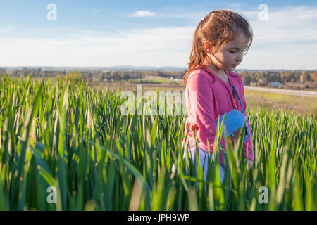 Little girl and her doll walking through green cereal field at sunset, Spain Stock Photo