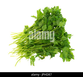 Top view of a large group of parsley stems and leaves isolated on a white background. Stock Photo