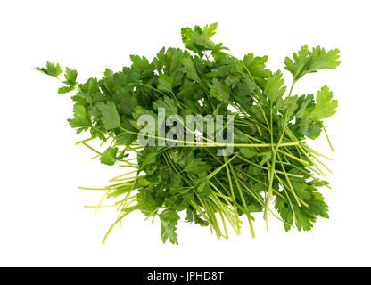 Top view of parsley stems and leaves isolated on a white background. Stock Photo