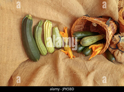 Zucchini harvest scene on jute. Vegetable still life composition Stock Photo