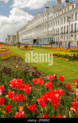 Large and imposing Claremont Hotel with colourful gardens dominated by tulips in foreground under blue sky at Eastbourne, England Stock Photo
