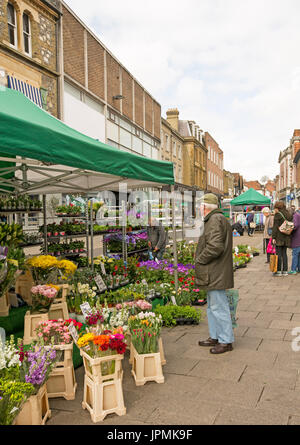 Flower stall with elderly man looking at colourful display of fresh flowers under green & white awning at street market in Winchester, England Stock Photo