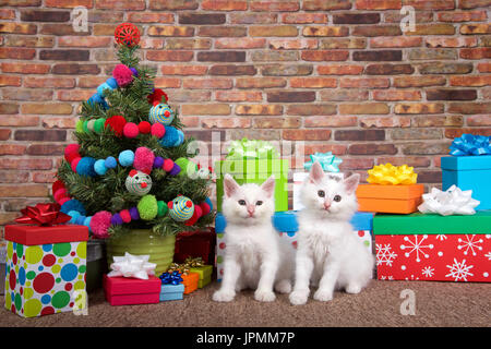 Two Fluffy white kittens sitting on brown carpet next to Christmas tree decorated with yarn balls and toy mice, surrounded by bright colorful presents