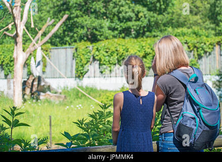 Woman and her daughter visiting zoo. Stock Photo