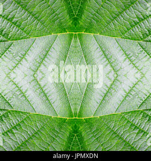 abstract seamless green leaf pattern. texture, background, nature. Stock Photo