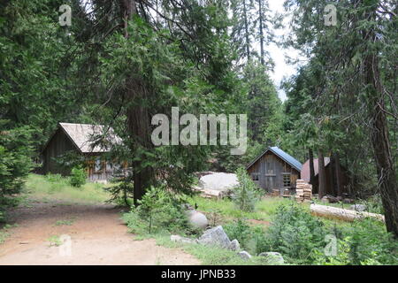 Rustic Century Old Wood Plank Cabins In Mineral King Area Sequoia