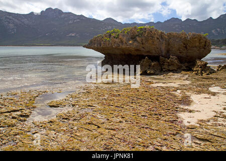 Fotheringate Bay and the Strzelecki Peaks on Flinders Island Stock Photo