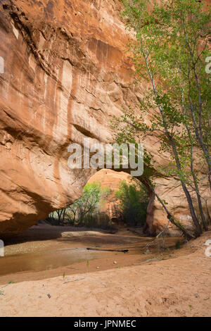 Coyote Bridge is an eroded hole through sandstone along Coyote Creek, Coyote Gulch, Grand Staircase-Escalante National Monument, Utah. Stock Photo