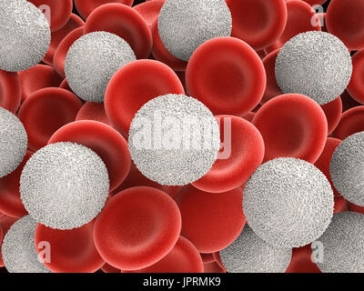 Red and white blood cells in blood vessels, 3d rendering. Computer ...