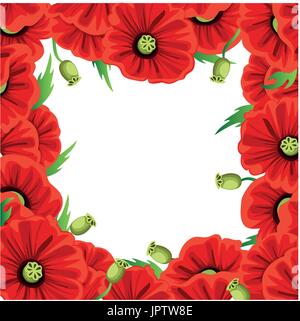 Red Poppy Flower isolated on white background. Vector red romantic poppy flowers and grass. red poppies. red flower. flourish flowery bunches design f Stock Vector