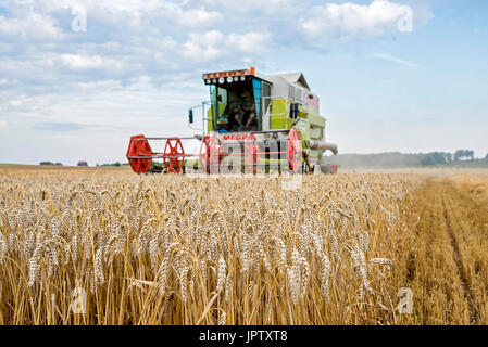 Combine Harvester - Wheat Crop, Bavaria Germany Stock Photo