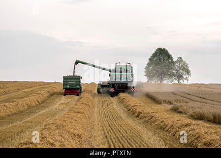 Combine Harvester - Wheat Crop, Bavaria Germany Stock Photo