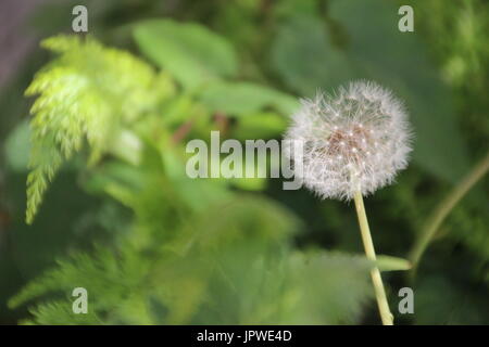 once a lifetime experience travel photography photo life event Stock Photo