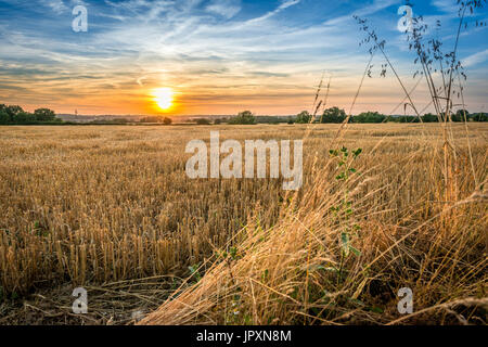 Early evening and the sun begins to set over farmed agricultural land in the Lincolnshire Fens Stock Photo