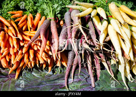Fresh ripe organic vegetables at a local farmer's market in Penticton, British Columbia, Canada.