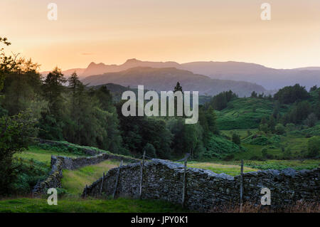 Distant view of the Langdale Pikes and associated Lakeland Fells at dusk  from the hills  above Hawkshead near Tarn Hows in the English Lake District Stock Photo