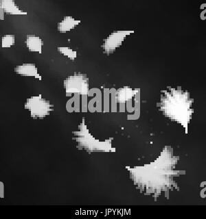 Realistic 3d detailed white swan feathers on a black background. Vector illustration. Falling feathers abstract light composition Stock Vector