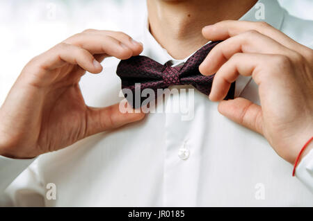 The groom in a white collar fixing his purple bow tie Stock Photo