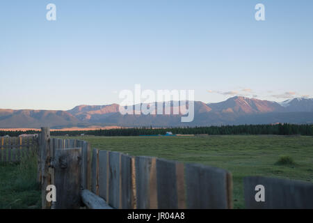 corn field on hill with colorful sky on sunset background. Stock Photo